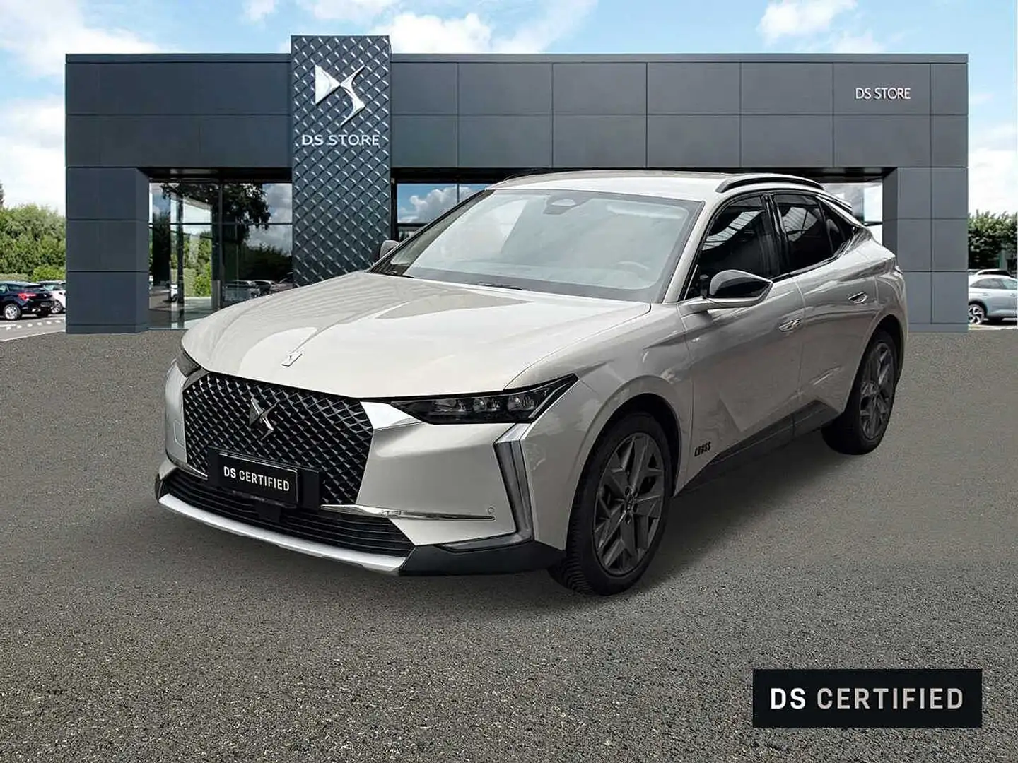 DS Automobiles DS 4 BlueHDi 130 aut. Cross Trocadero Grau - 1
