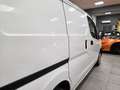 Nissan NV200 NV200 1.5 dCi 90 CV AUTOCARRO N1 _ PORTELLONE SCORREVOLE _ OTTIME CONDIZIONI _ POCHI KM _ GARANZIA 12 MESI Weiß - thumbnail 2