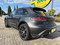 Porsche Macan 2.0 TETTO / CHRONO / PREZZO REALE Grigio - thumbnail 6