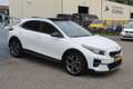 Kia XCeed 1.6 GDi PHEV ExecutiveLine FULL OPTION!!/AUTOMAAT/ Wit - thumbnail 12