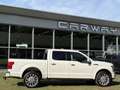 Ford F 150 USA 3.5 V6 4X4 LIMITED Blanc - thumbnail 3