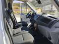 Ford Transit FT 350 L3 Van Ambiente 170 Blanco - thumbnail 9