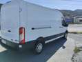 Ford Transit FT 350 L3 Van Ambiente 170 Blanco - thumbnail 16