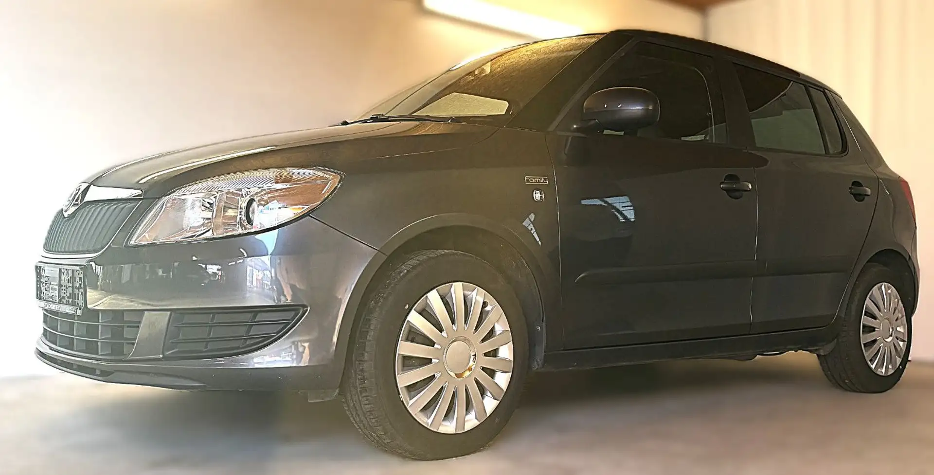 Skoda Fabia Family Grau - 1