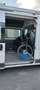 Fiat Ducato Ducato Panorama 30 L2H3 136 PS Gas Weiß - thumbnail 6