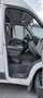Fiat Ducato Ducato Panorama 30 L2H3 136 PS Gas Weiß - thumbnail 7