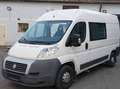 Fiat Ducato Ducato Panorama 30 L2H3 136 PS Gas Weiß - thumbnail 8