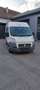 Fiat Ducato Ducato Panorama 30 L2H3 136 PS Gas Weiß - thumbnail 2