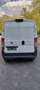 Fiat Ducato Ducato Panorama 30 L2H3 136 PS Gas Weiß - thumbnail 5