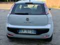 Fiat Punto Evo 3p 1.4 Active 77cv - thumbnail 6