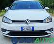 Volkswagen Golf 1.6 TDI 115 CV 5p. Business Bianco - thumbnail 4