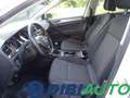 Volkswagen Golf 1.6 TDI 115 CV 5p. Business Bianco - thumbnail 8