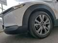 Mazda CX-30 CX30 2.0m-hybridExecutive2wd150cv6mt Bianco - thumbnail 7