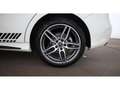Mercedes-Benz B 200 d CDI AMG Line Aut LED LEDER R-CAM KLIMA Weiß - thumbnail 30
