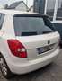 Skoda Fabia Basis. AUS 1HAND Blanc - thumbnail 8