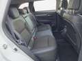Renault Koleos 2.0dCi Blue Zen X-Tronic 4x4 135kW Blanc - thumbnail 19