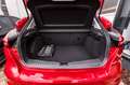 Ford Focus 1.5 Titanium|Navi|Cruise|Pdc Rood - thumbnail 12