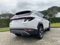 Hyundai TUCSON 3ª serie 1.6 HEV aut. XLine Bianco - thumbnail 5