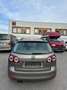 Volkswagen Golf Plus VI Team Braun - thumbnail 4