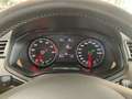 SEAT Ibiza 1.0 TSI DSG Style Sitzheizung Rojo - thumbnail 13