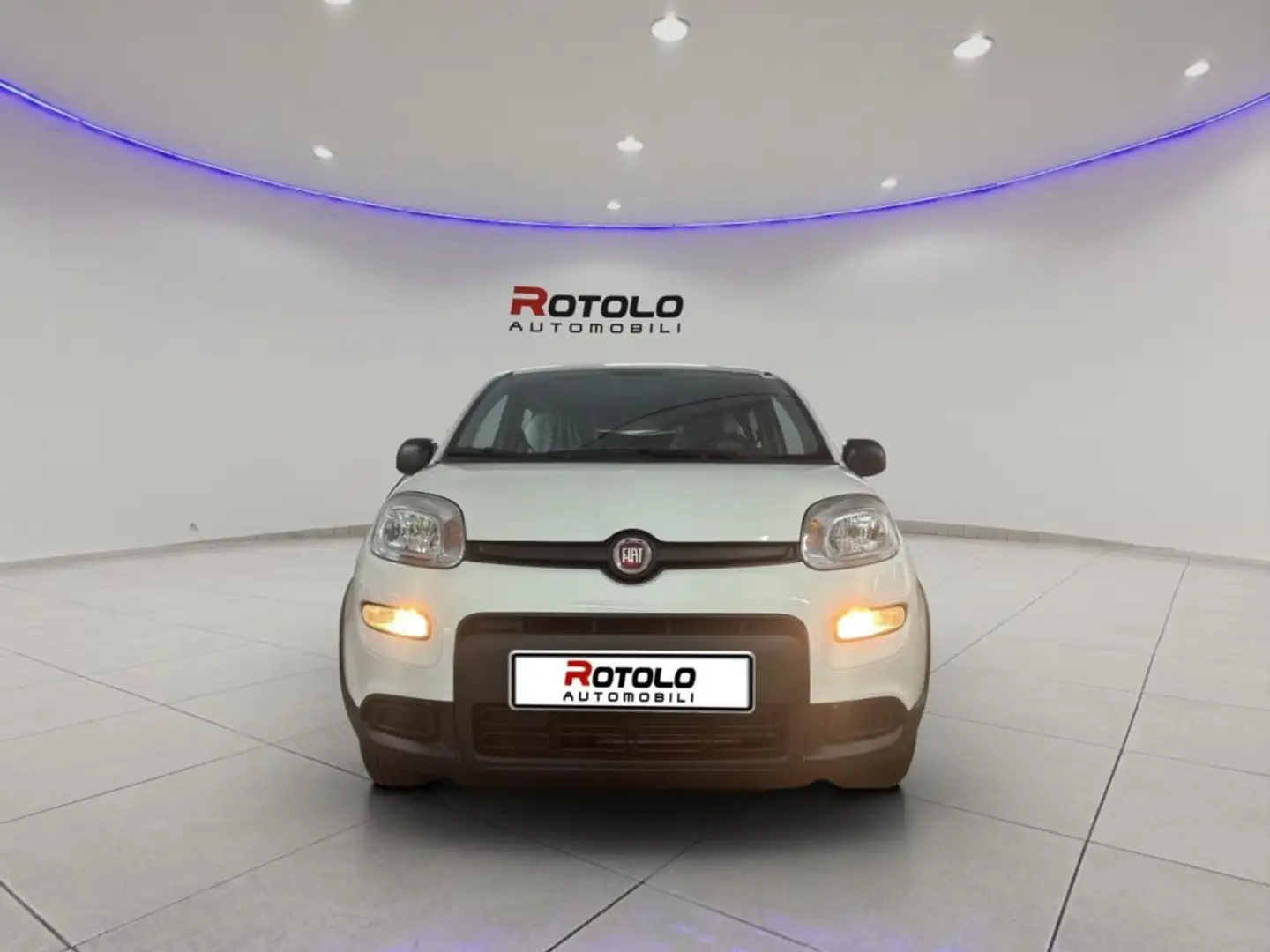 Fiat Panda 1.0 FireFly S&S Hybrid SENZA FINANZIAMENTO Bianco - 2