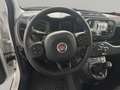 Fiat Panda 1.0 FireFly S&S Hybrid SENZA FINANZIAMENTO Bianco - thumbnail 12