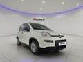 Fiat Panda 1.0 FireFly S&S Hybrid SENZA FINANZIAMENTO Bianco - thumbnail 4