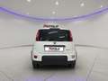 Fiat Panda 1.0 FireFly S&S Hybrid SENZA FINANZIAMENTO Bianco - thumbnail 8