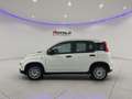 Fiat Panda 1.0 FireFly S&S Hybrid SENZA FINANZIAMENTO Bianco - thumbnail 3