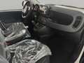 Fiat Panda 1.0 FireFly S&S Hybrid SENZA FINANZIAMENTO Bianco - thumbnail 14