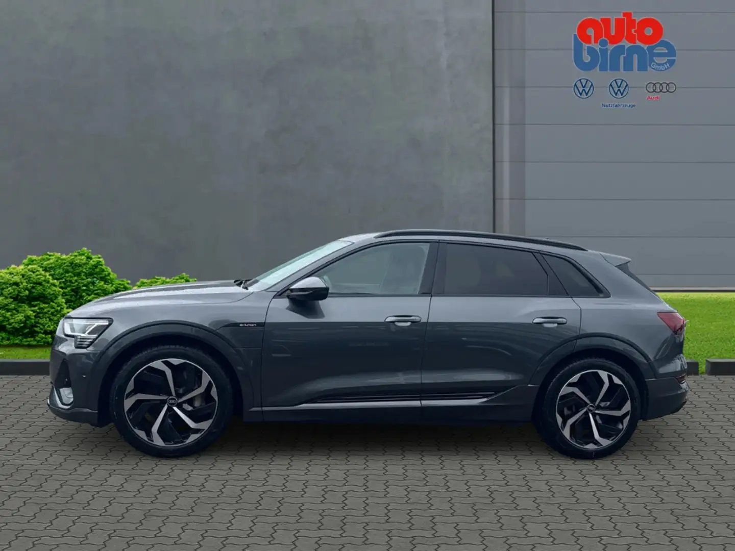 Audi e-tron 50 quattro S line Luftfederung AD Niveau AHK-abneh Gris - 2