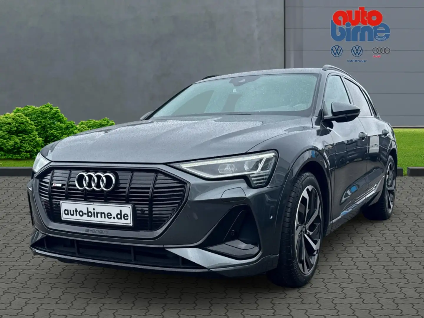 Audi e-tron 50 quattro S line Luftfederung AD Niveau AHK-abneh Gris - 1