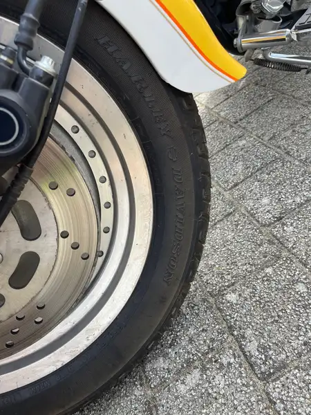 Harley-Davidson Fat Boy - foto 8