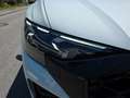 Audi RS Q8 performance RS-Abgas/Bose/23Zoll/305km/h Bianco - thumbnail 11