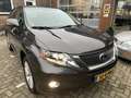 Lexus RX 450h 3.5 V6 4WD EXECUTIVE A/T + 12 MND BOVAG Braun - thumbnail 3
