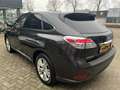 Lexus RX 450h 3.5 V6 4WD EXECUTIVE A/T + 12 MND BOVAG Braun - thumbnail 5