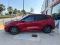 Ford Kuga 2.0 EcoBlue MEHV ST-Line FWD 150 Burdeos - thumbnail 4