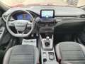 Ford Kuga 2.0 EcoBlue MEHV ST-Line FWD 150 Burdeos - thumbnail 7