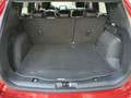 Ford Kuga 2.0 EcoBlue MEHV ST-Line FWD 150 Burdeos - thumbnail 27