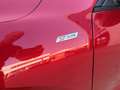 Ford Kuga 2.0 EcoBlue MEHV ST-Line FWD 150 Burdeos - thumbnail 32