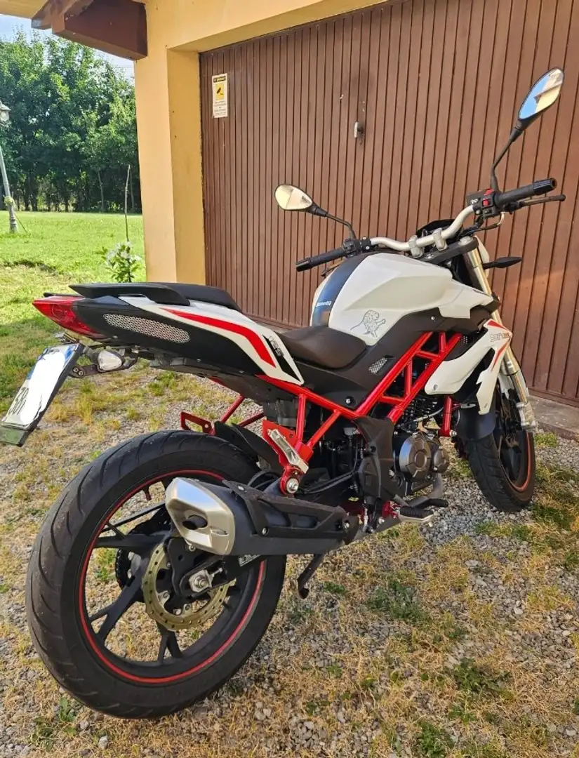Benelli BN 125 Weiß - 2