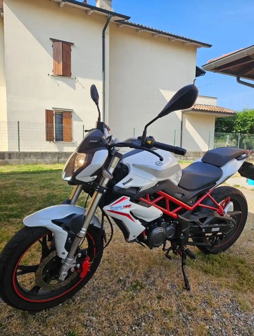 Benelli BN 125 Weiß - 1