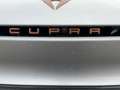 CUPRA Born Edition Dynamic 170 kW (231 PS) 60 kWh Argent - thumbnail 19