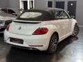 Volkswagen Beetle Cabriolet Sound Navi/PDC/Temp/Shz/Apple Silber - thumbnail 10