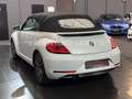 Volkswagen Beetle Cabriolet Sound Navi/PDC/Temp/Shz/Apple Silber - thumbnail 8