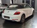 Volkswagen Beetle Cabriolet Sound Navi/PDC/Temp/Shz/Apple Silber - thumbnail 6