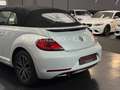 Volkswagen Beetle Cabriolet Sound Navi/PDC/Temp/Shz/Apple Silber - thumbnail 13