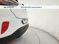 Ford Puma 1.0 ecoboost Connect 95cv Bianco - thumbnail 9