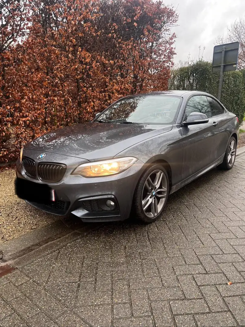 BMW 220 220i Coupe Gris - 2