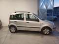 Fiat Panda Panda 1.2 Dynamic Mamy Gris - thumbnail 10